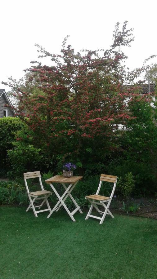 B&B Witvliet, Kamers En Studio Met Heerlijk Ontbijt ! 주테란데 외부 사진